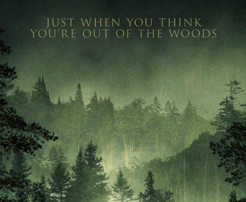 دانلود فیلم غریبه ای در جنگل
